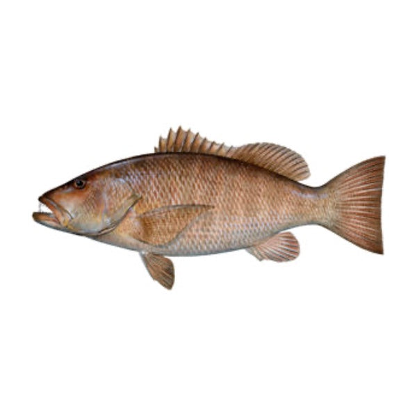 Spearfishing Snapper - How to Hunt Series