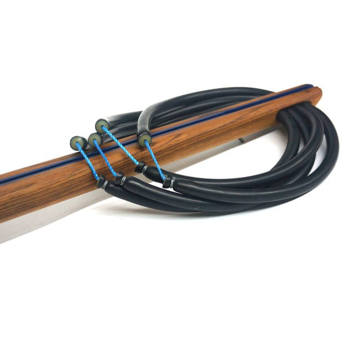 Hsa81