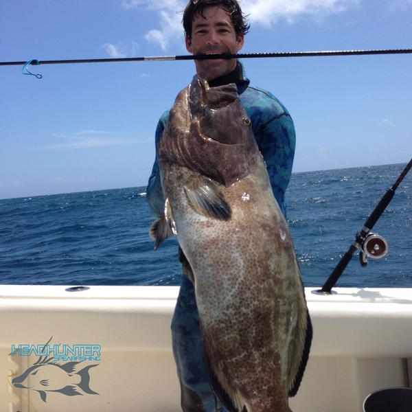 Headhunter Spearfishing Predator Carbon Fiber Polespear Bahamas Black Grouper 018 Grande 1