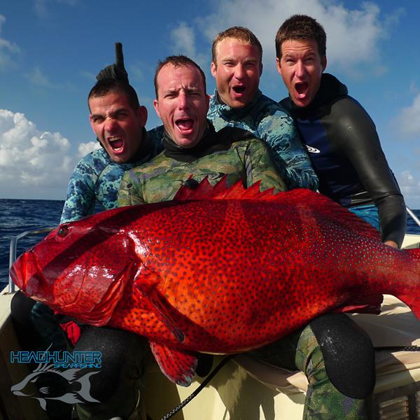 Headhunter Spearfishing Predator Carbon Fiber Polespear Coral Trout Cam Kirkconnell 010 Grande