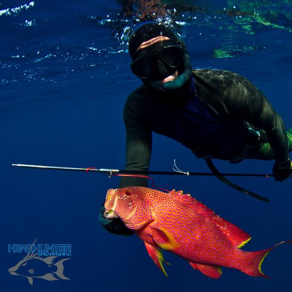 Headhunter Spearfishing Predator Carbon Fiber Polespear Coronation Trout Brad Thornbrough 014 Grande