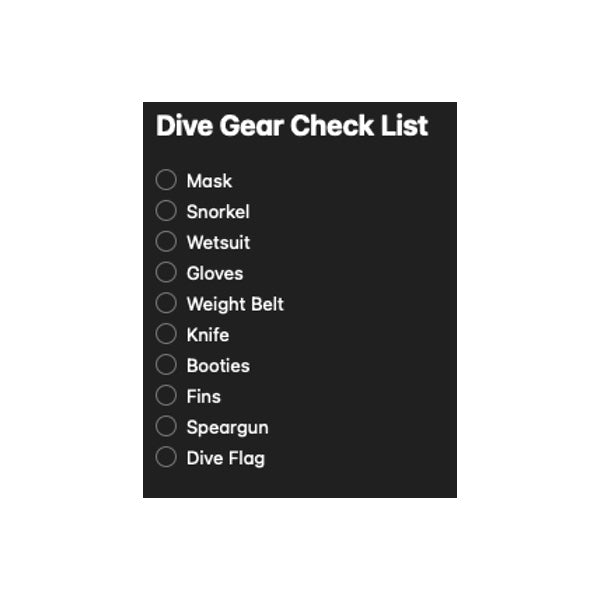 Preparing For Dive Trips - Building Your Freediving Checklist