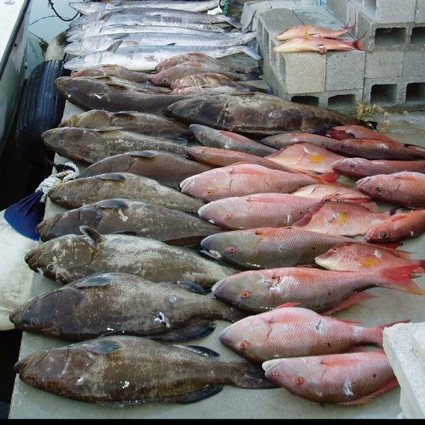 Dock of Death: The Life Cycle of Spearfishermen