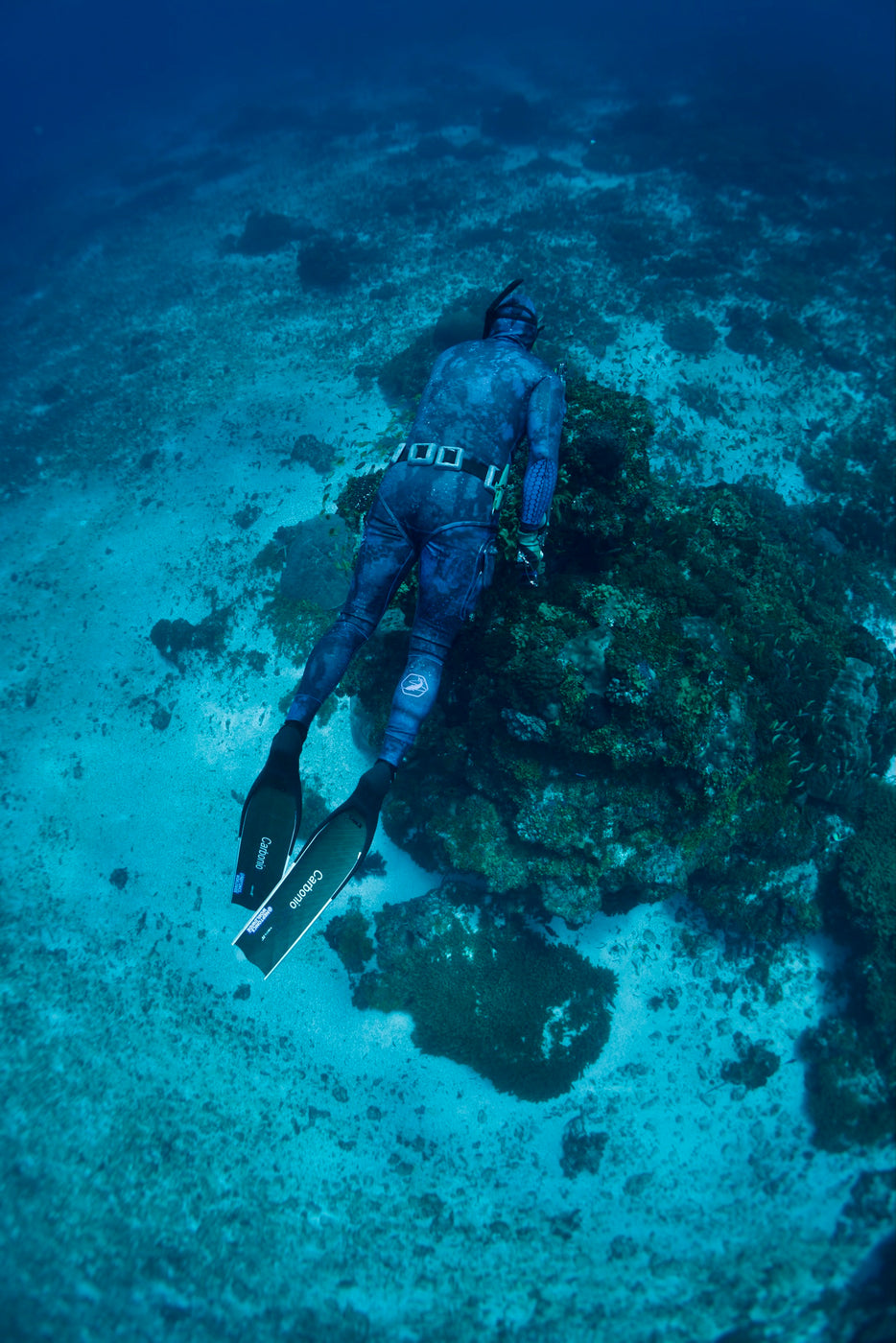 %%title%% Freediving and Spearfishing Wetsuits — Neptonics